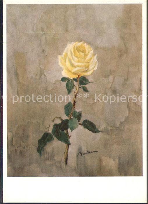 Kuenstlerkarte Hermann Boecker Gelbe Rose