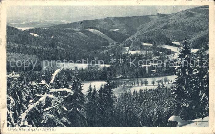 Goerbersdorf Schlesien Panorama