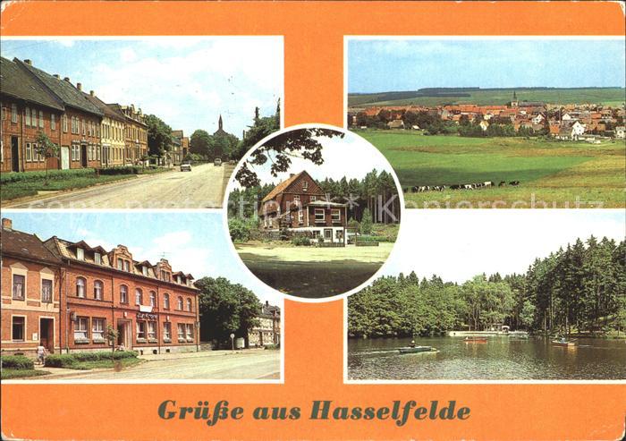 Hasselfelde Strassenpartien Panorama See