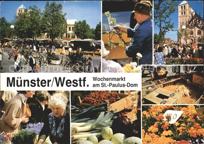 Muenster Westfalen Wochenmarkt am St Paulus Dom