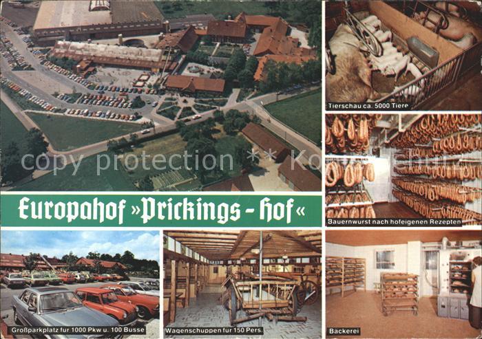 Sythen Europahof Prickings Hof Bauernhof Tierschau