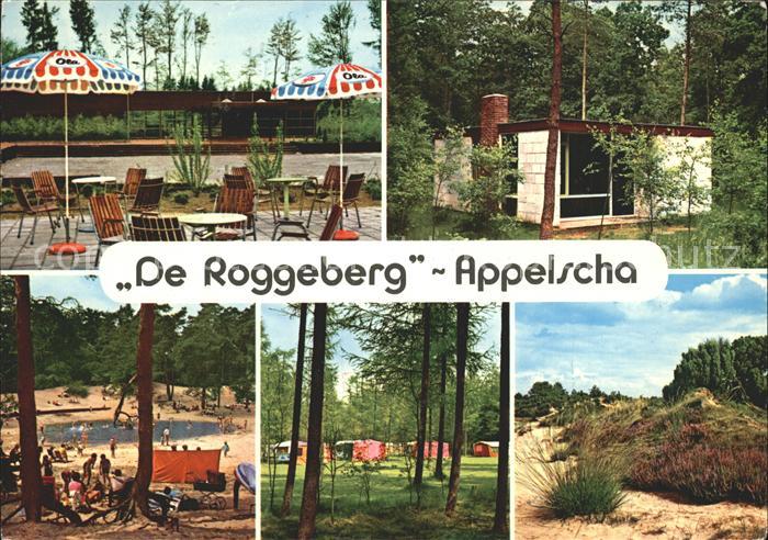 Appelscha Bondscamping De Roggeberg Bungalowpark