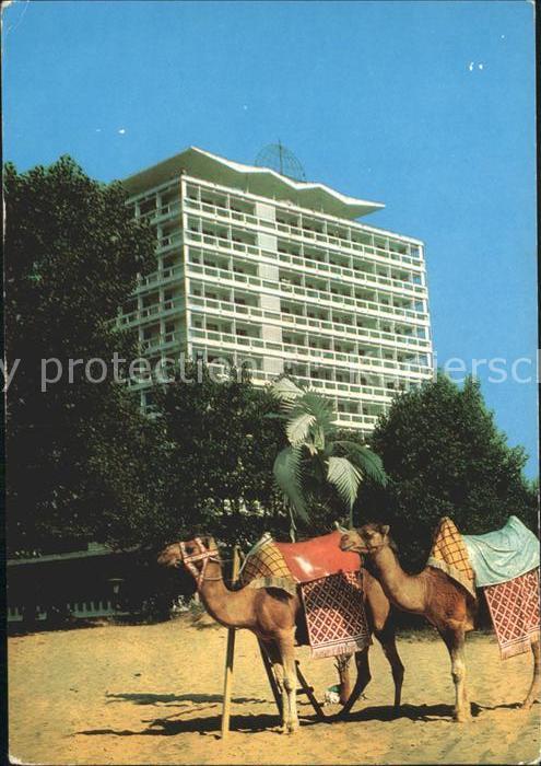 Slantschev Brjag Hotel Kamele