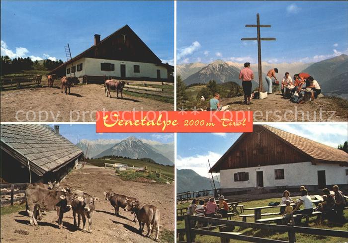 Imst Tirol Venetalpe Alm Kuehe Gipfelkreuz