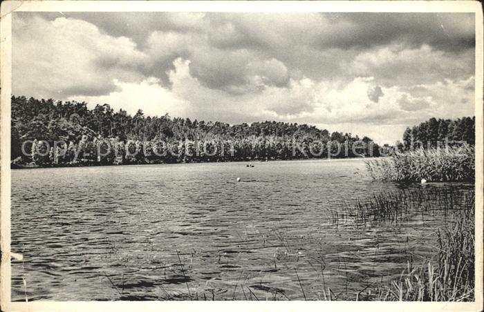 Salem Baden Campingplatz Salemer See