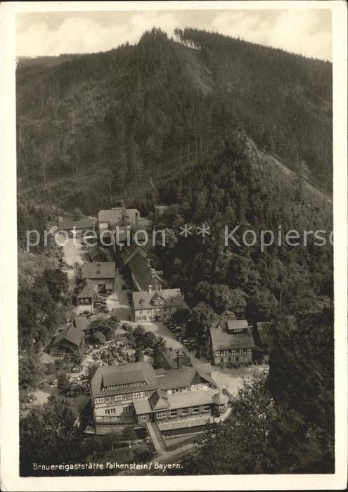 Ludwigsstadt Brauereigaststaette Falkenstein