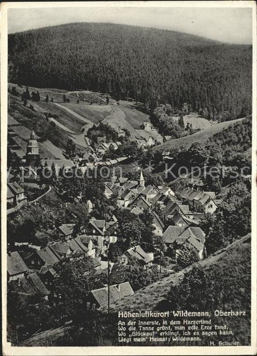 Wildemann Harz Goslar Niedersachsen Totalansicht