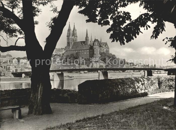 Meissen Elbe Sachsen Dom und Albrechtsburg