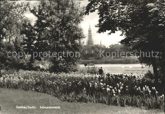 Zwickau Sachsen Schwanenteich