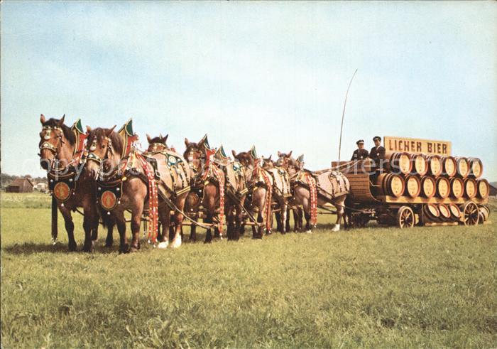 Bier Brauerei-Pferdegespann Ihring-Melchior KG Belgische Kaltblueter