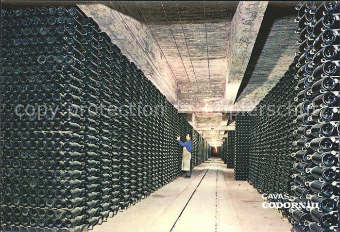 Wein Cavas Codorniu Veraltende Flaschen