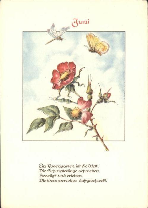 Monatskarte Juni Libelle Schmetterling Rosen Gedicht