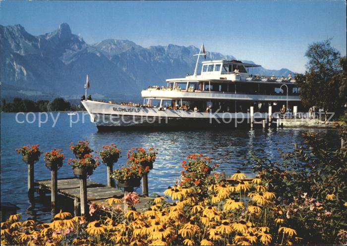 Motorschiffe Bluemlisalp Thunersee Stockorn
