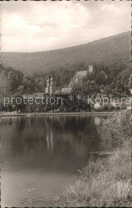 Miltenberg Main mit Burg