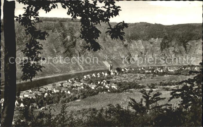 Ernst Cochem Weinhaus Zum froehlichen Weinberg