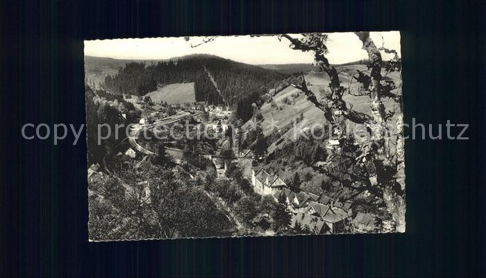 Wildemann Harz Goslar Niedersachsen