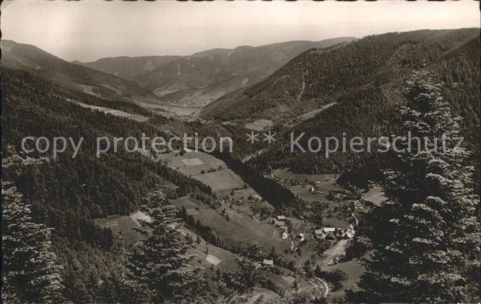 Wildgutach Gasthaus Pension zum Loewen