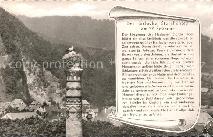 Haslach Kinzigtal Storchentag