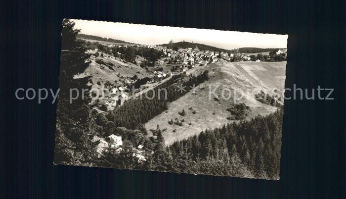 St Andreasberg Harz Blick vom Treibholz