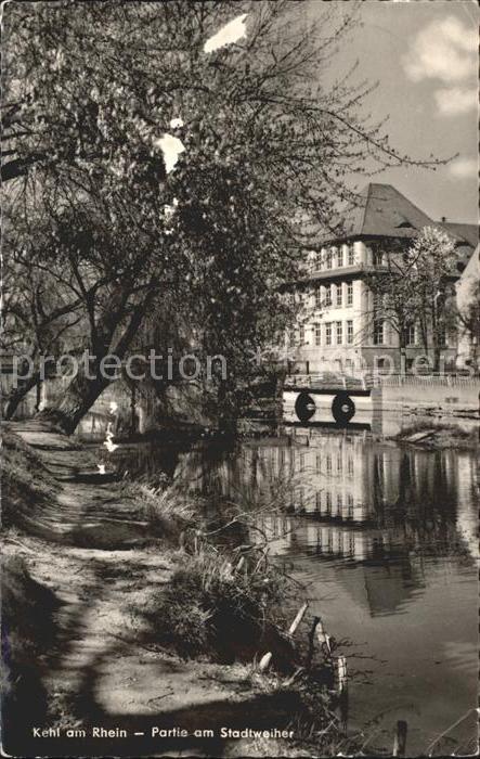Kehl Rhein Partie am Stadtweiher