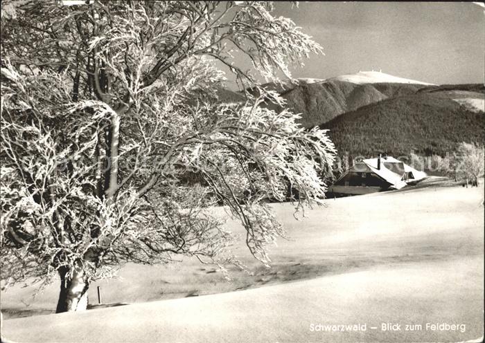 Feldberg Schwarzwald