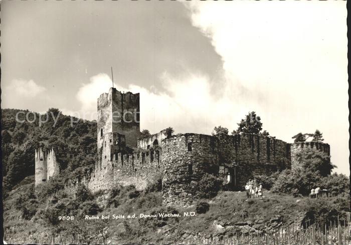 Spitz Donau Ruine Wachau