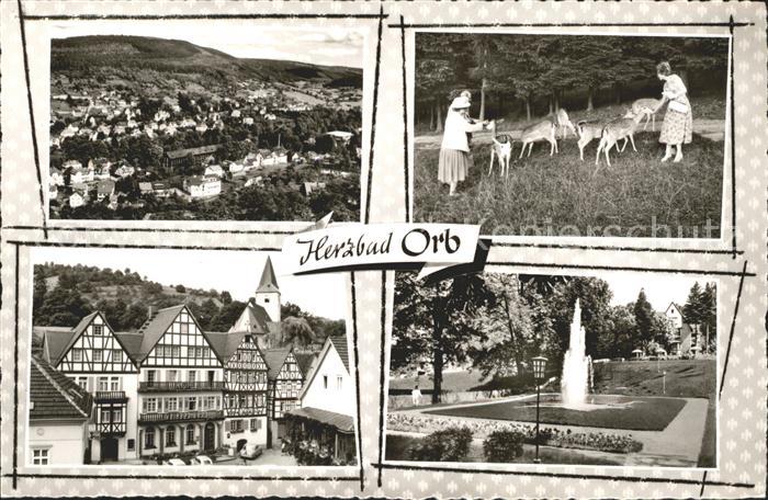 Bad Orb Wild Park Fachwerkhaeuser