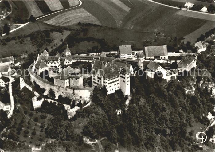 Harburg Schwaben Fliegeraufnahme Schloss Harburg