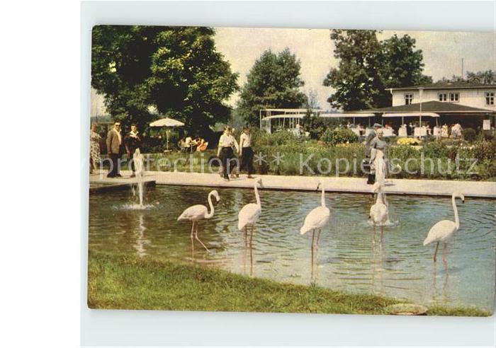 Gartenbauaustellung Erfurt Flamingos Wasserachse