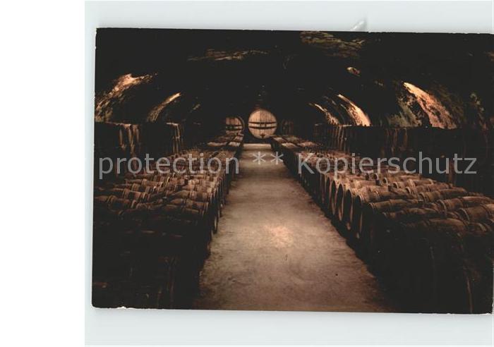 Wein Interieur de cave