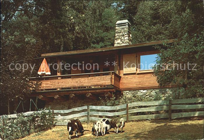 Bad Gandersheim Ferienhaus Pinnes Lust