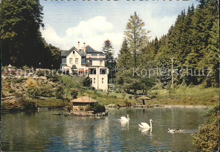 Rengsdorf Obere Muehle Schwanenteich