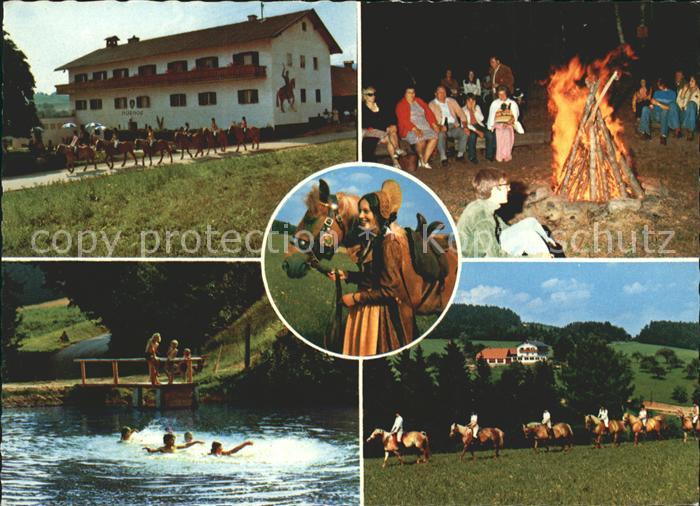 Aggsbach-Dorf Gasthof Pension Hubhof Pferd