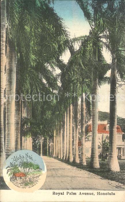 Honolulu Royal Palm Avenue