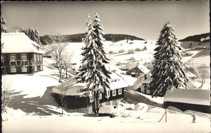 Todtnauberg Schwarzwald BW Winteridyll