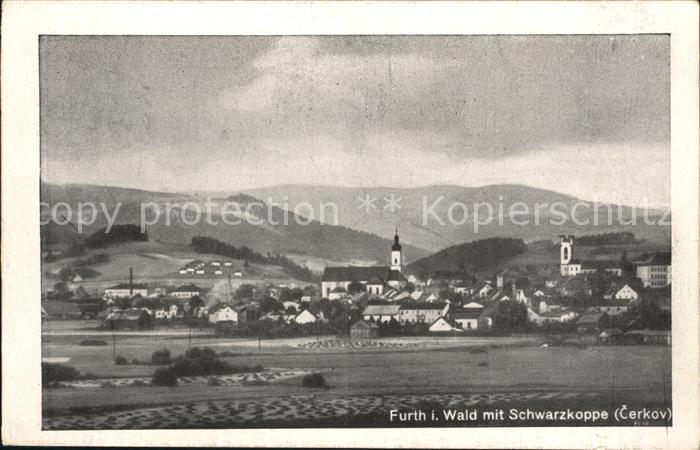 Furth Wald mit Schwarzkoppe