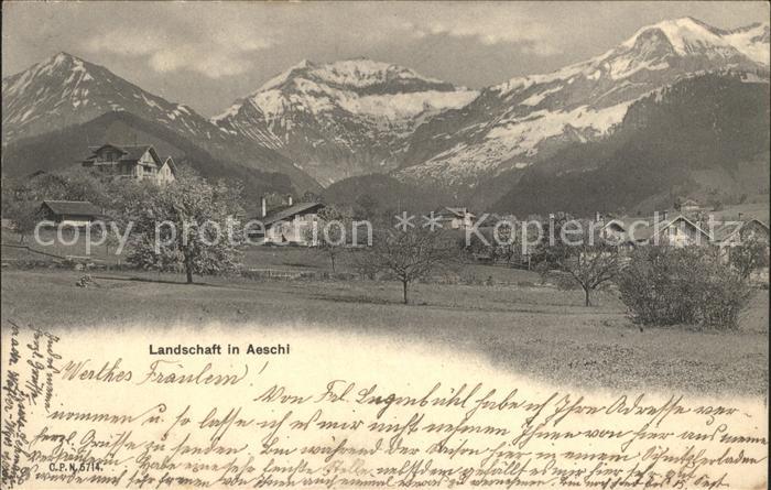 Aeschi Spiez Ortsansicht