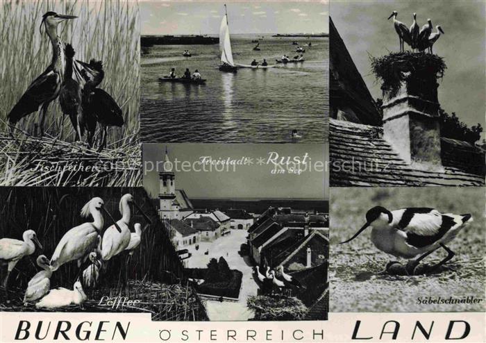 Rust am See Neusiedlersee Burgenland AT Burgen oesterreich Land