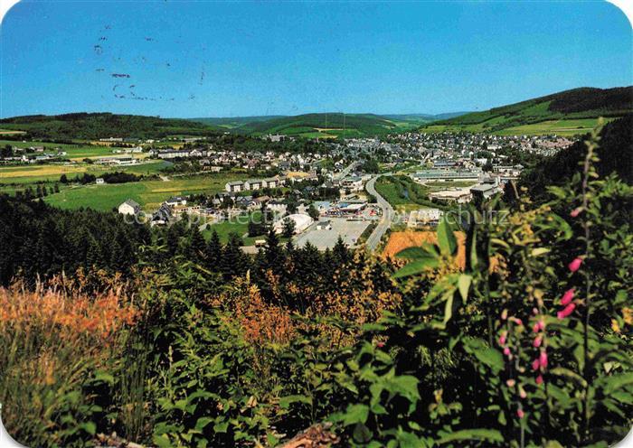 Bad Berleburg NRW Stadtpanorama Wald Huegel Wiesen Wohngebiet Industrie Sauerlan