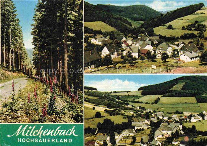 Milchenbach Waldweg Dorfansicht Talblick Fichtenwald Wiesen Hochsauerland Fachwe
