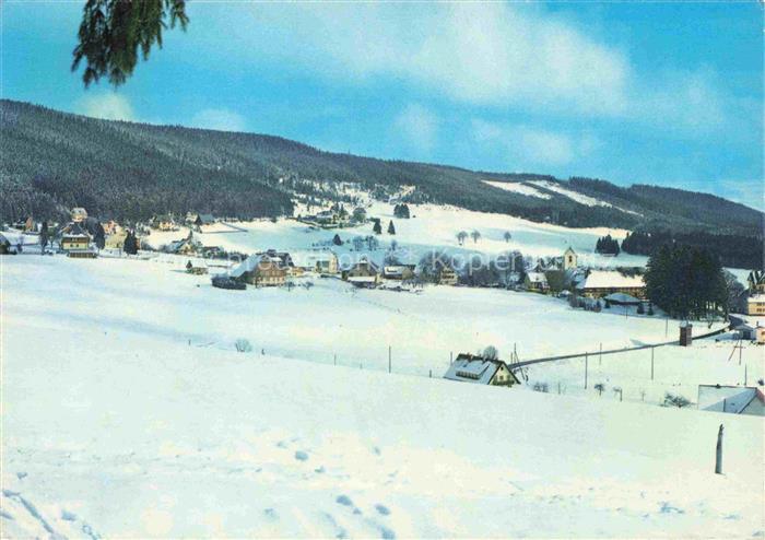 Saig Schwarzwald Winterlandschaft Schnee Hochschwarzwald Wintersport Dorf Tannen