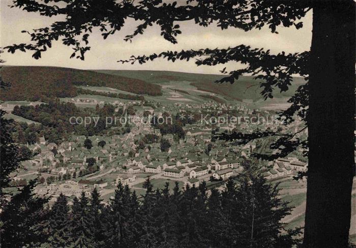 Bad Berleburg NRW Talblick Waldlandschaft Wittgensteiner-Berg-und-Waldland Kneip