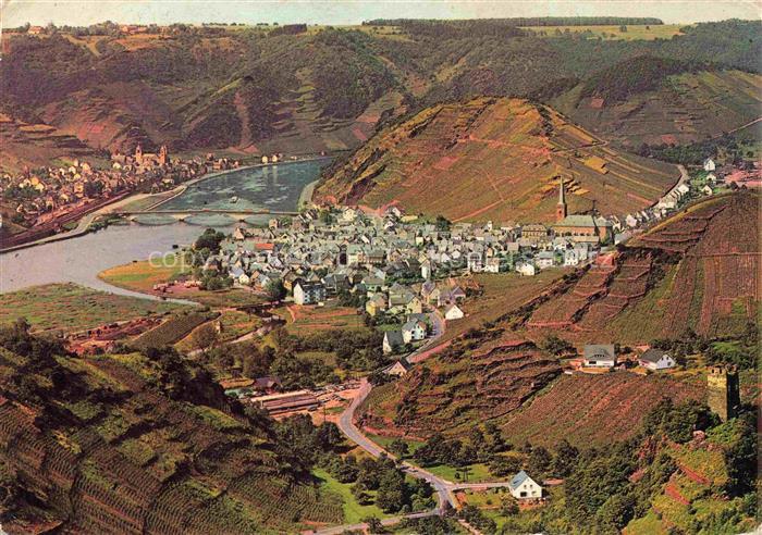 Treis-Karden Mosel Rheinland-Pfalz Mosel Weinberge Fliegeraufnahme Flussschleife