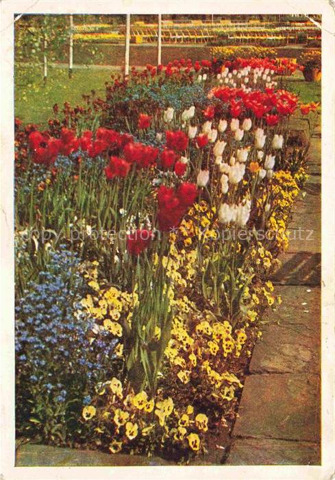 BUGA Bundesgartenschau Koeln Blumenrabatten Haupteingang
