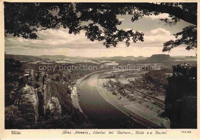 Foto Hahn Nr. Saechs. Schweiz Elbtal Rathen Bastei