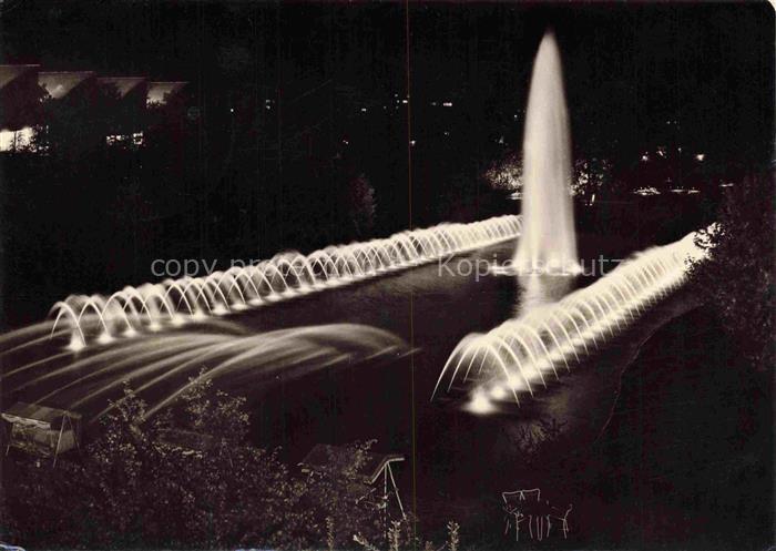 BUGA Bundesgartenschau Stuttgart Naechtlicher Zauber Wasserspiele