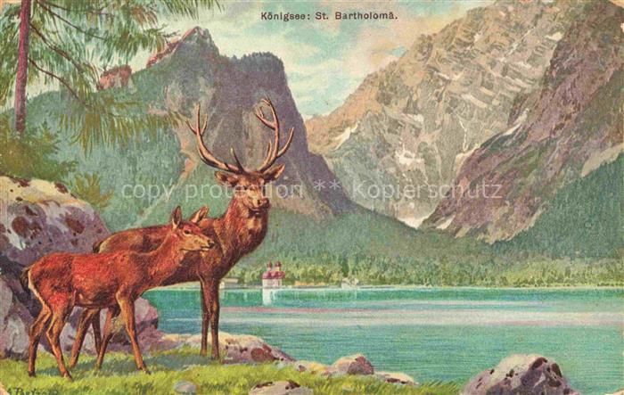 ST BARTHOLOMae KoeNIGssEE Koenigssee St-Bartholomae Hirsch Berge Alpen See Kirch