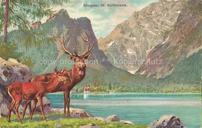 ST BARTHOLOMae KoeNIGssEE Koenigssee St-Bartholomae Hirsch Berge Alpen See Kirch