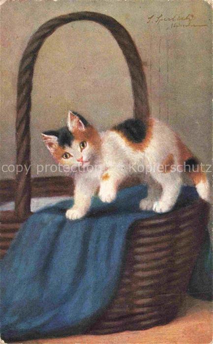 KATZEN Cats Chats Gatos Gatti--