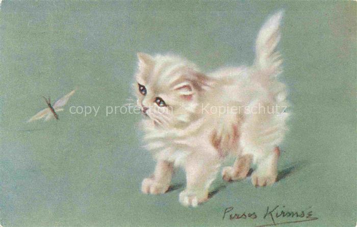KATZEN Cats Chats Gatos Gatti-- Verlag Tucks Nr. 3581